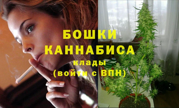 Альфа ПВП Лабытнанги