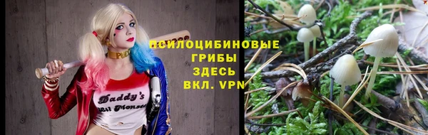 СК Лихославль