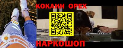 крисы Ливны