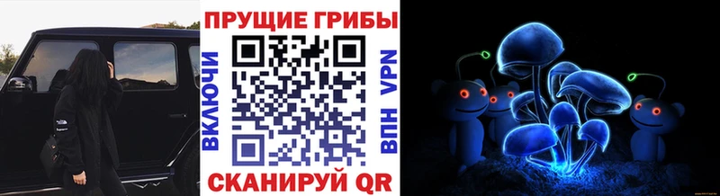 сколько стоит  Сургут  Галлюциногенные грибы мухоморы 