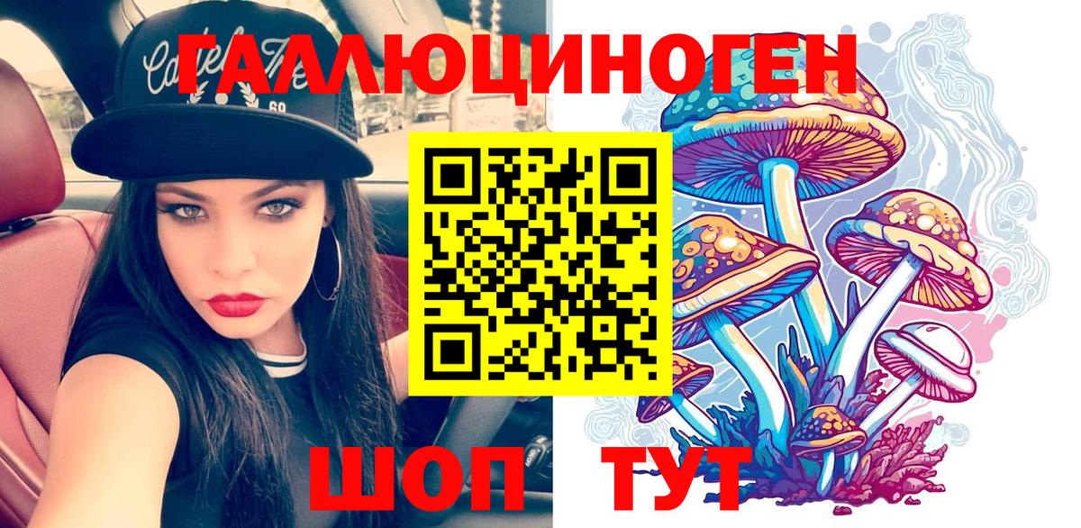 Галлюциногенные грибы Psilocybe Сургут